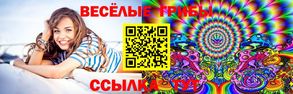 Псилоцибиновые грибы прущие грибы  Вход с VPN  Лениногорск 
