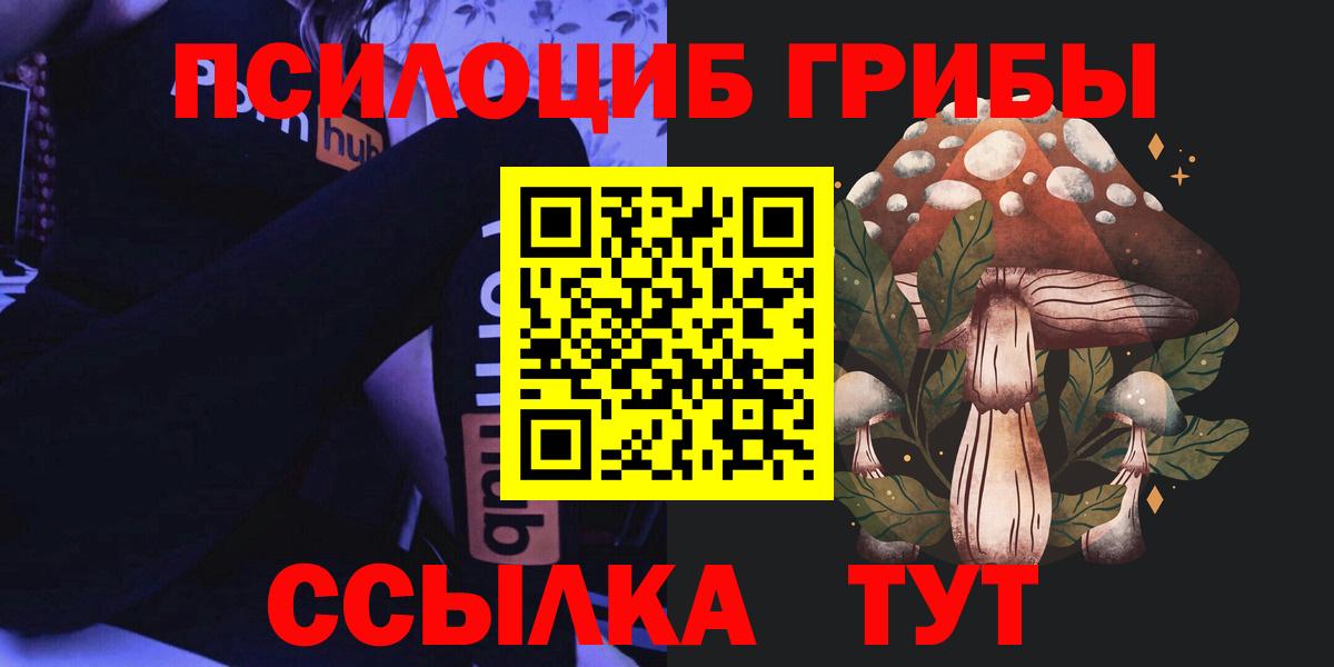 МЕФ Лениногорск